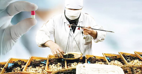 thuoc-y-hoc-co-truyen-tron-tan-duoc-nguy-bien-hien-huu1557411406-16608836019751541935145 Du lịch y tế thu 1-2 tỷ USD, người Việt chi 2-3 tỷ USD ra nước ngoài chữa bệnh- Ảnh 1.