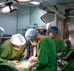 Cảnh Báo Đáng Lo Ngại: Trẻ Nhỏ Bị Chó Cắn Gây Tổn Thương Nghiêm Trọng