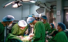 Cảnh Báo Đáng Lo Ngại: Trẻ Nhỏ Bị Chó Cắn Gây Tổn Thương Nghiêm Trọng