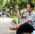 Tại Sao Người Cao Tuổi Cần Ăn Đủ Protein Và Những Nguồn Thực Phẩm Lý Tưởng