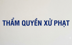 Gia Tăng Ca Sốt Xuất Huyết: Hà Nội Đẩy Mạnh Công Tác Phòng Chống