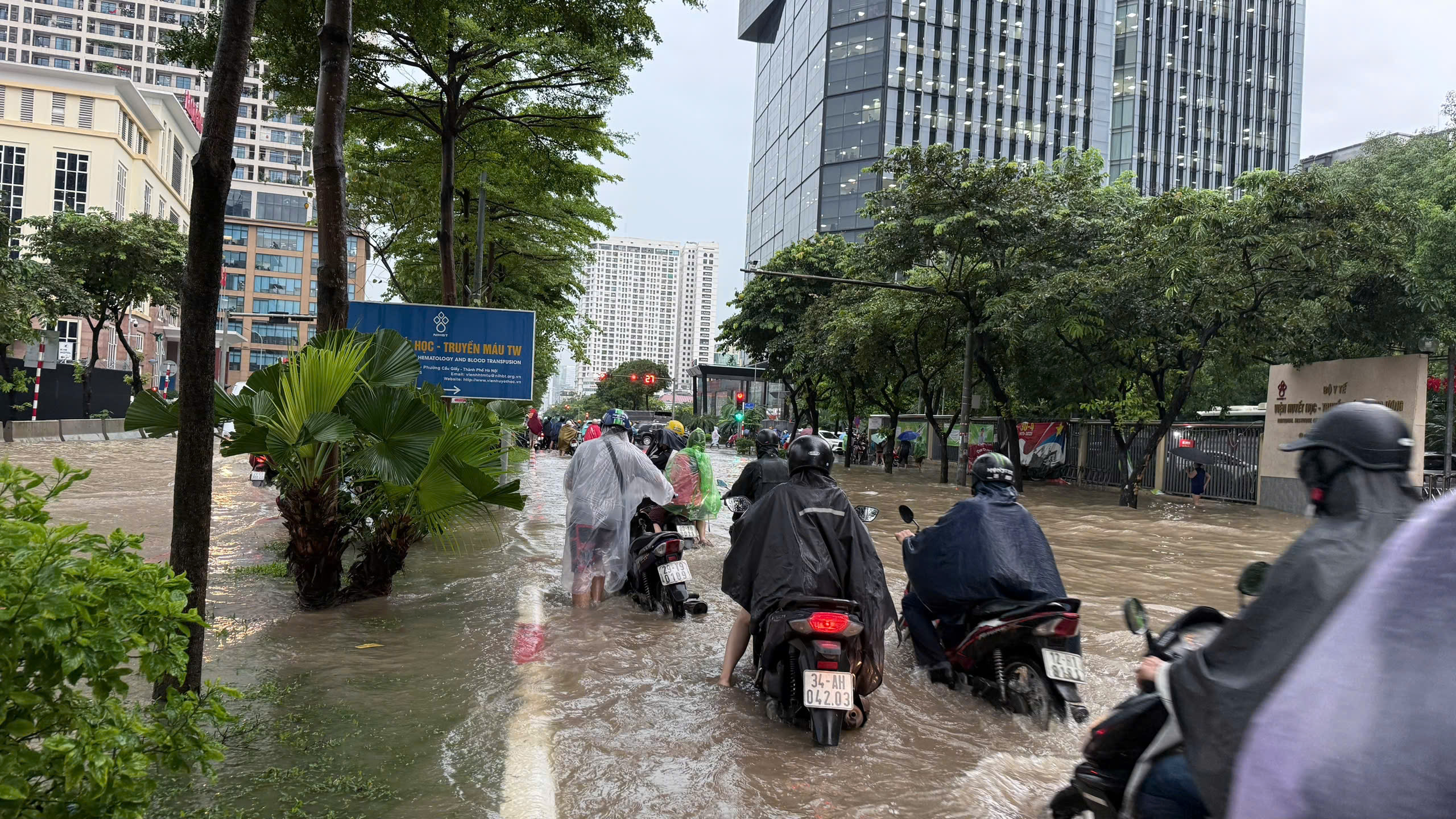 Dự báo thời tiết miền Bắc mưa 