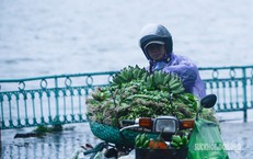Thủ Tướng Lê Minh Hưng Nhấn Mạnh Về Việc Giảm Lãi Suất Cho Vay Để Hỗ Trợ Kinh Tế