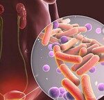 Bụi mịn PM2.5: con đường gây hại và cách bảo vệ tim phổi trong đô thị